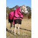 5'6 - 6'6 1200 Denier 300g Fill Combo Horse Rug Pink