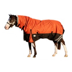 5'0 5'3 1200D Rainsheet Combo Waterproof Horse Rug Orange