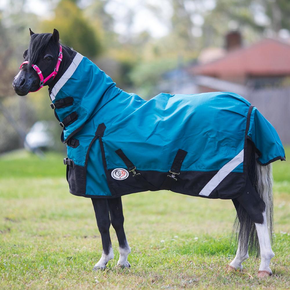 Natalie W. horse Natalie W. horse