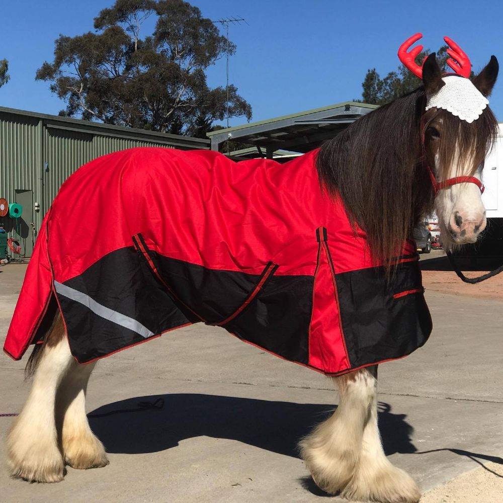 Margot S. Horse Margot S. Horse