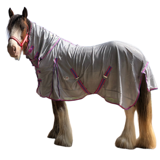 Clydesdale Horse Rugs Clydesdale Horse Rugs