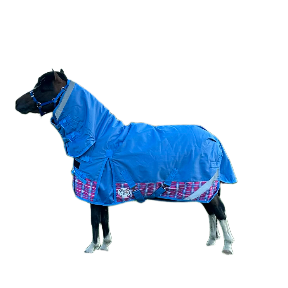 Miniature Horse Rugs Miniature Horse Rugs