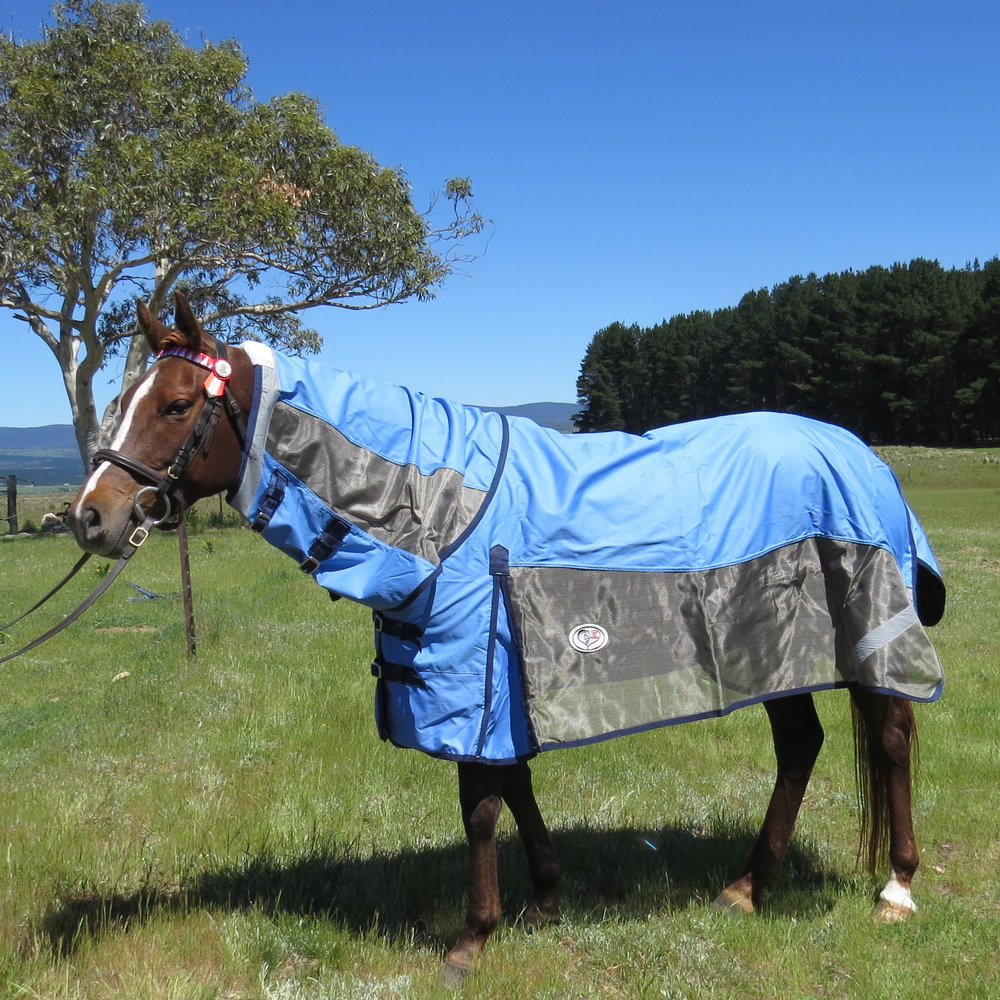 Robyn L. horse Robyn L. horse