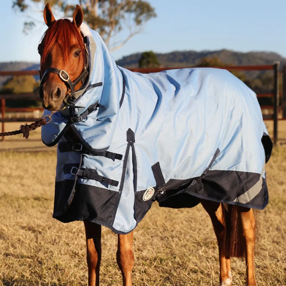 Maree T. horse Maree T horse