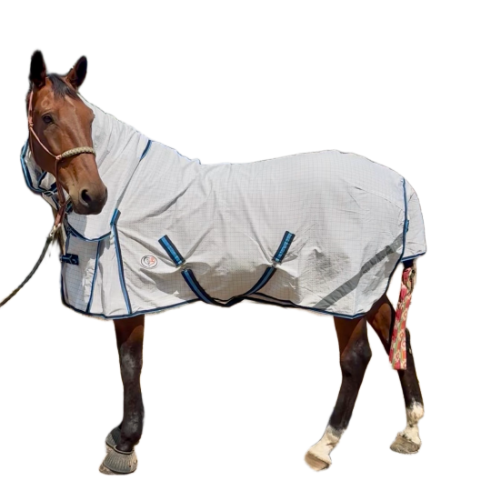 Summer Horse Rugs Summer Horse Rugs