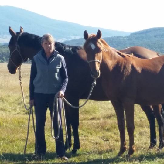 Kerry Leight with horses Kerry Leight with horses