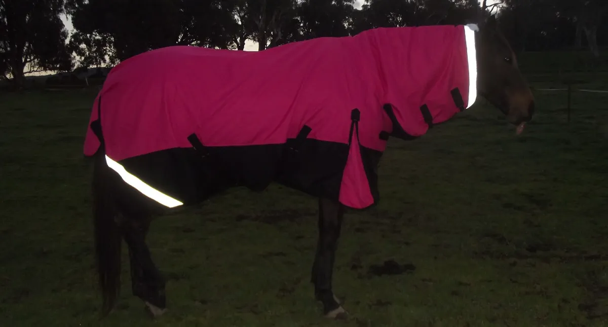 Be Seen Be Safe - Reflective Horse Rugs Be Seen Be Safe - Reflective Horse Rugs