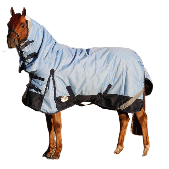 Winter Horse Rugs Winter Horse Rugs